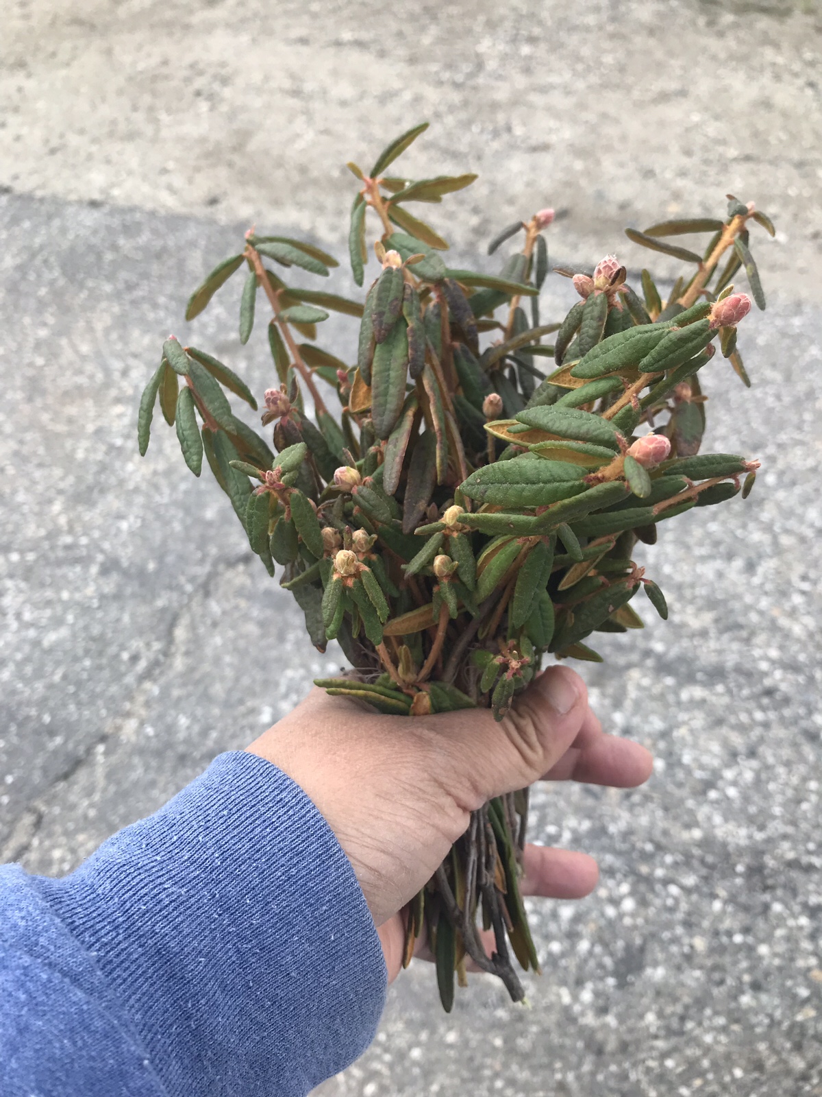 Food and life in&nbsp;Alaska